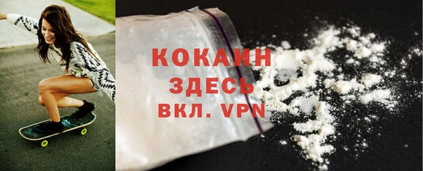 прущие грибы Арсеньев