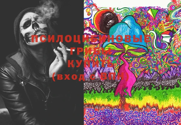 винт Армянск