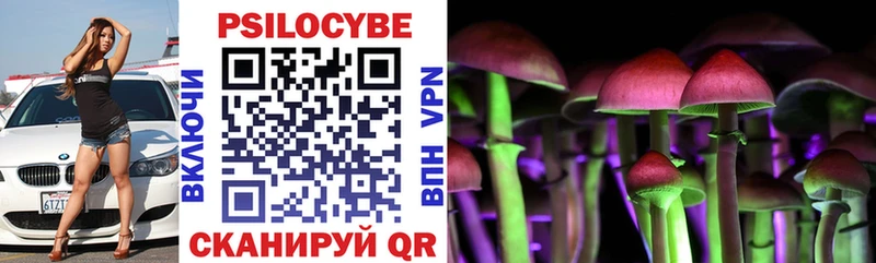 Псилоцибиновые грибы Cubensis  Купить где  Слюдянка 